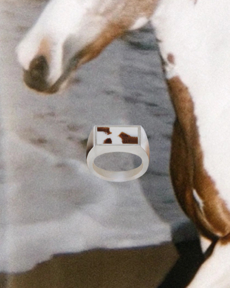 Belated happy year of the horse - ring