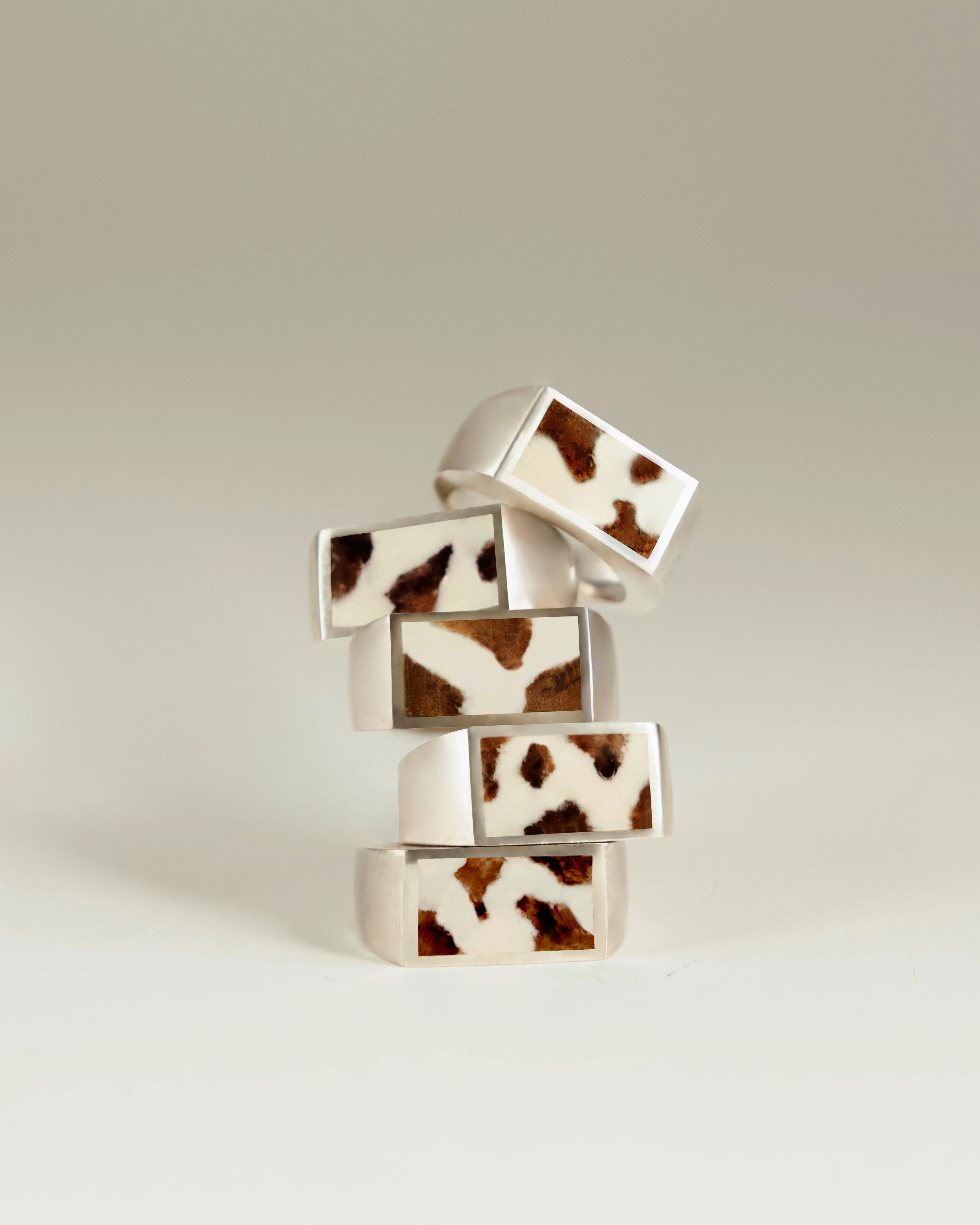 Belated happy year of the horse - ring