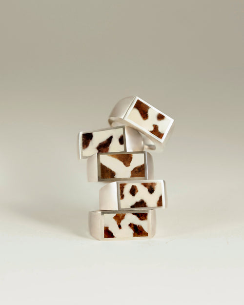 Belated happy year of the horse - ring